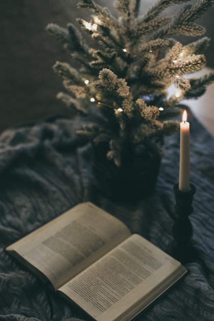 Meet the Author Behind the Magic